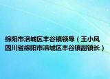 绵阳市涪城区丰谷镇领导（王小凤 四川省绵阳市涪城区丰谷镇副镇长）