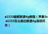 a1533破解联通4g教程（苹果5s a1533怎么刷出联通4g选项开关）