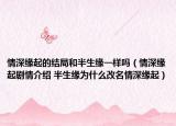 情深缘起的结局和半生缘一样吗（情深缘起剧情介绍 半生缘为什么改名情深缘起）