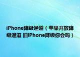 iPhone降级通道（苹果开放降级通道 旧iPhone降级你会吗）