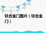 钛合金门图片（钛合金门）