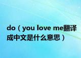 do（you love me翻译成中文是什么意思）