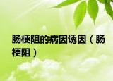 肠梗阻的病因诱因（肠梗阻）