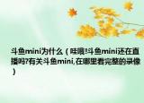 斗鱼mini为什么（哇哦!斗鱼mini还在直播吗?有关斗鱼mini,在哪里看完整的录像）