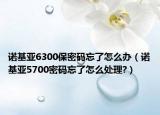 诺基亚6300保密码忘了怎么办（诺基亚5700密码忘了怎么处理?）