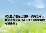 搞笑兔子视频出自哪（请问您今天要来点兔子吗 WHITE FOX改编的电视动画）