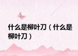 什么是柳叶刀（什么是柳叶刀）