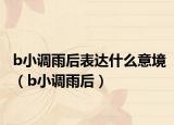 b小调雨后表达什么意境（b小调雨后）