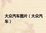 大众汽车图片（大众汽车）