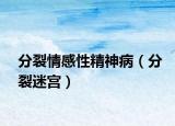 分裂情感性精神病（分裂迷宫）