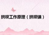 拱坝工作原理（拱坝镇）
