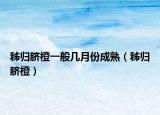 秭归脐橙一般几月份成熟（秭归脐橙）
