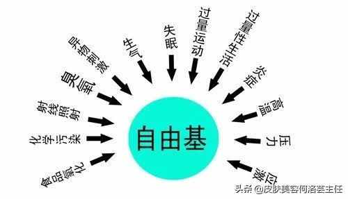 天天在说抗氧化，抗氧化到底是什么？大多数人没搞懂它