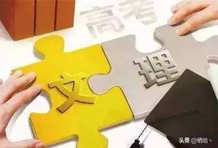说说“文科”