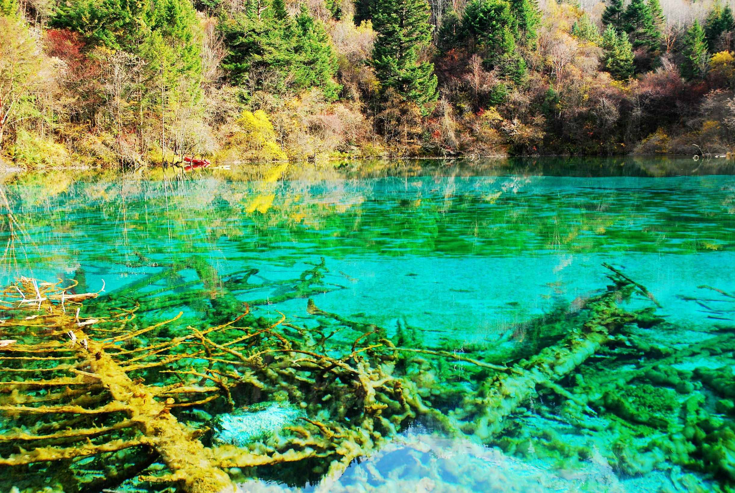什么时候去九寨沟旅游最好？带你轻松了解九寨沟四季美景！