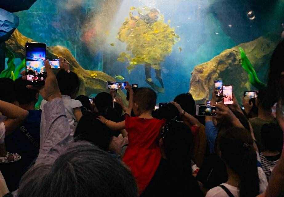 没有对比就没有伤害！西安曲江海洋极地公园依然独大