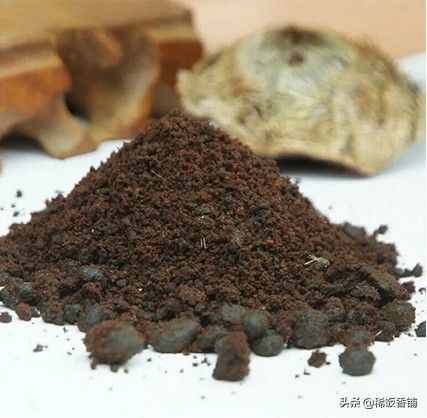 到底什么是麝香？为何如此名贵？