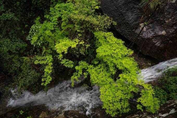 1天之内如何游玩雁荡山最精华的景区，这篇攻略你一定要收好