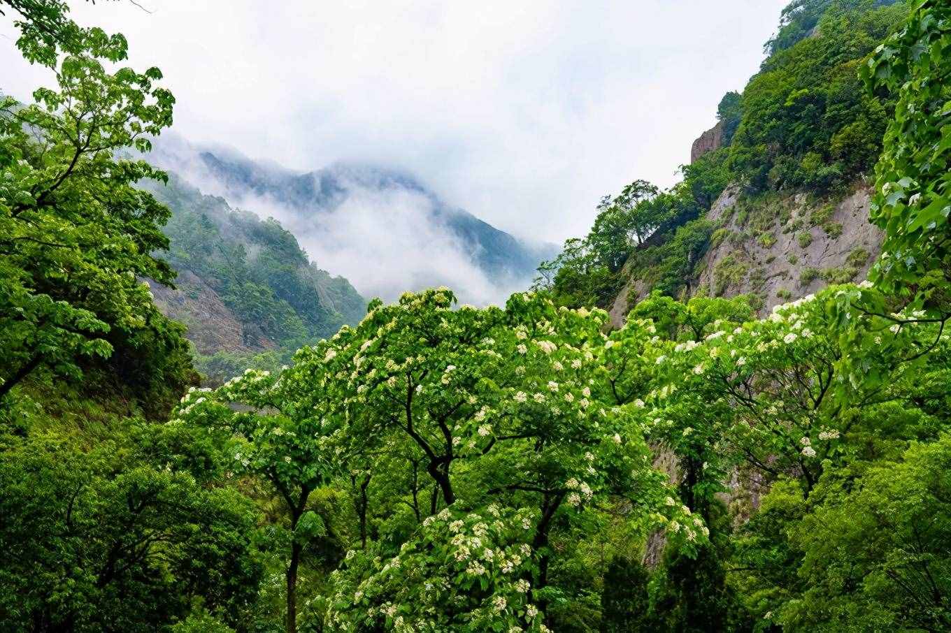 1天之内如何游玩雁荡山最精华的景区，这篇攻略你一定要收好