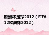 欧洲杯足球2012（FIFA12欧洲杯2012）