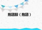抱团股（抱团）