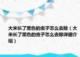 大米长了黑色的虫子怎么去除（大米长了黑色的虫子怎么去除详细介绍）