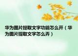 华为图片提取文字功能怎么开（华为图片提取文字怎么弄）