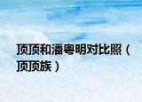 顶顶和潘粤明对比照（顶顶族）