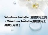 Windows Installer 清理实用工具（Windows Installer清理实用工具肿么用啊）