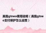 真我gtneo使用说明（真我gtneo支付保护怎么设置）
