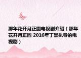 那年花开月正圆电视剧介绍（那年花开月正圆 2016年丁黑执导的电视剧）