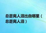 总是离人泪出自哪里（总是离人泪）