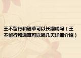 王不留行和通草可以长期喝吗（王不留行和通草可以喝几天详细介绍）