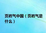 页岩气中国（页岩气是什么）