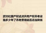 武功杜丽产权试点共有产权养老设施多少年了养老费用能否适当降低
