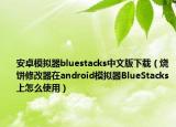 安卓模拟器bluestacks中文版下载（烧饼修改器在android模拟器BlueStacks上怎么使用）