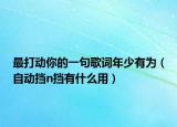最打动你的一句歌词年少有为（自动挡n挡有什么用）