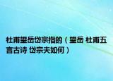 杜甫望岳岱宗指的（望岳 杜甫五言古诗 岱宗夫如何）