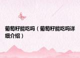 葡萄籽能吃吗（葡萄籽能吃吗详细介绍）