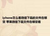 iphone怎么看微信下载的文件在哪里 苹果微信下载文件在哪里看
