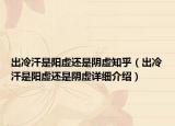 出冷汗是阳虚还是阴虚知乎（出冷汗是阳虚还是阴虚详细介绍）