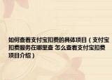 如何查看支付宝扣费的具体项目（支付宝扣费服务在哪里查 怎么查看支付宝扣费项目介绍）