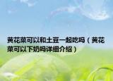 黄花菜可以和土豆一起吃吗（黄花菜可以下奶吗详细介绍）