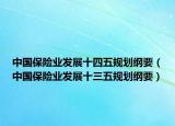 中国保险业发展十四五规划纲要（中国保险业发展十三五规划纲要）