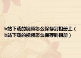 b站下载的视频怎么保存到相册上（b站下载的视频怎么保存到相册）
