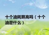 十个油耗算高吗（十个油是什么）