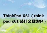 ThinkPad X61（thinkpad x61 装什么系统好）
