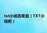 txt小说百度盘（TXT小说吧）
