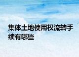集体土地使用权流转手续有哪些