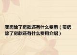 买房除了房款还有什么费用（买房除了房款还有什么费用介绍）